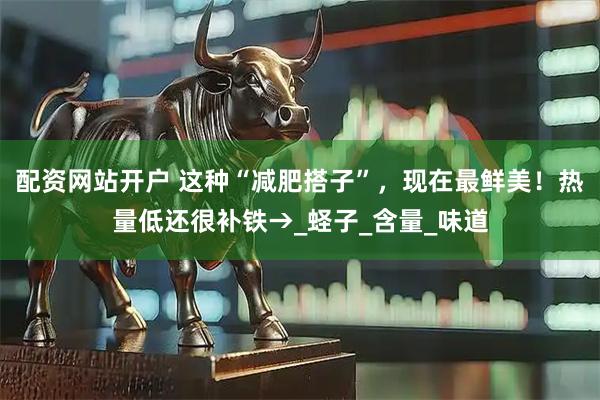 配资网站开户 这种“减肥搭子”，现在最鲜美！热量低还很补铁→_蛏子_含量_味道