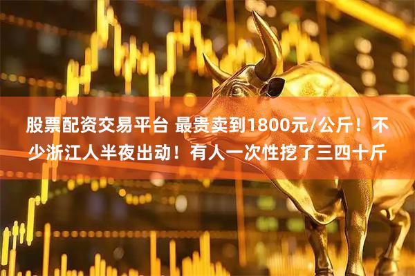 股票配资交易平台 最贵卖到1800元/公斤！不少浙江人半夜出动！有人一次性挖了三四十斤